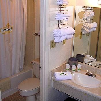 Motel 6 Columbia - University Of South Carolina חדר תמונה